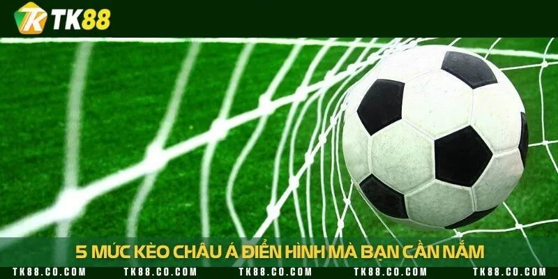 Các loại kèo phổ biến và chi tiết về cách đọc chúng