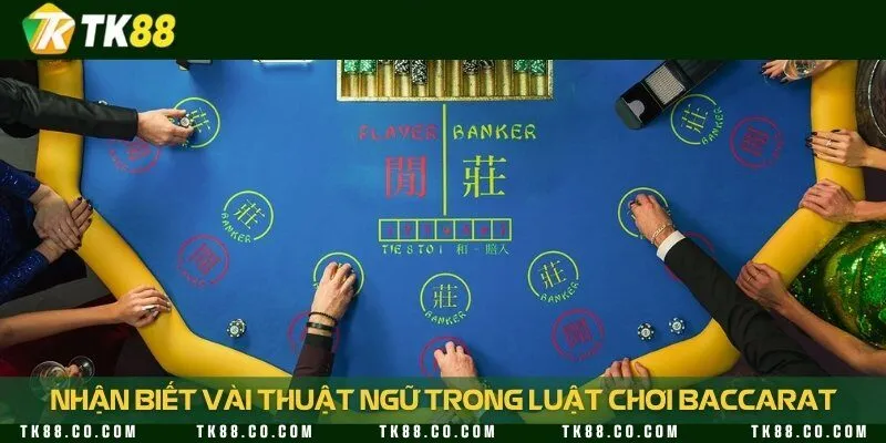 Thuật ngữ thường xuất hiện trong mỗi ván chơi
