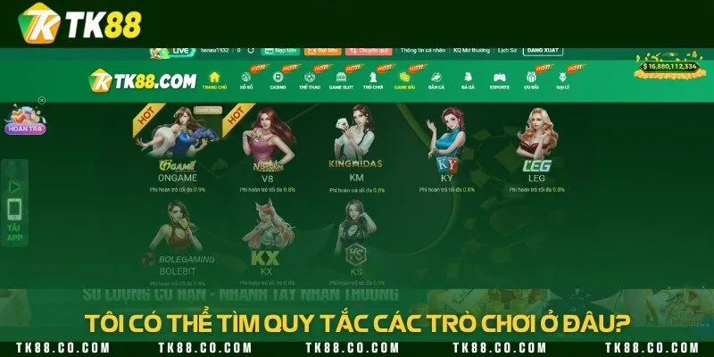 Trong mỗi trò chơi đều cung cấp bảng quy tắc tham gia chi tiết