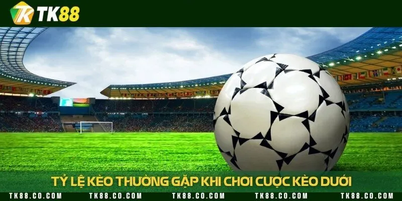 Tổng hợp top 4 tỷ lệ cược tại nhà cái TK88